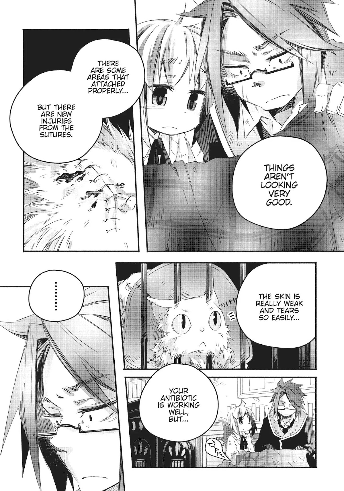 How to Treat Magical Beasts: Mine and Master's Medical Journal Chapter 15 page 22 - Chapter 15: Vol.3 Case 15: Winged Cat