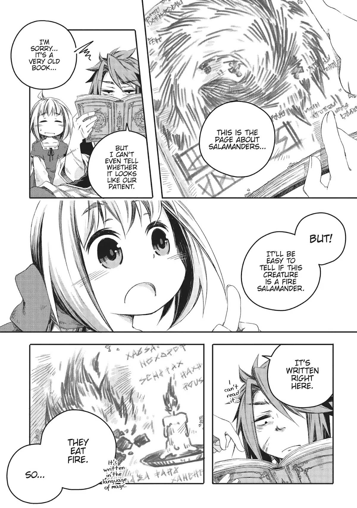 How to Treat Magical Beasts: Mine and Master's Medical Journal Chapter 2 page 12 - Chapter 2: Vol.1 Case 2: Salamander
