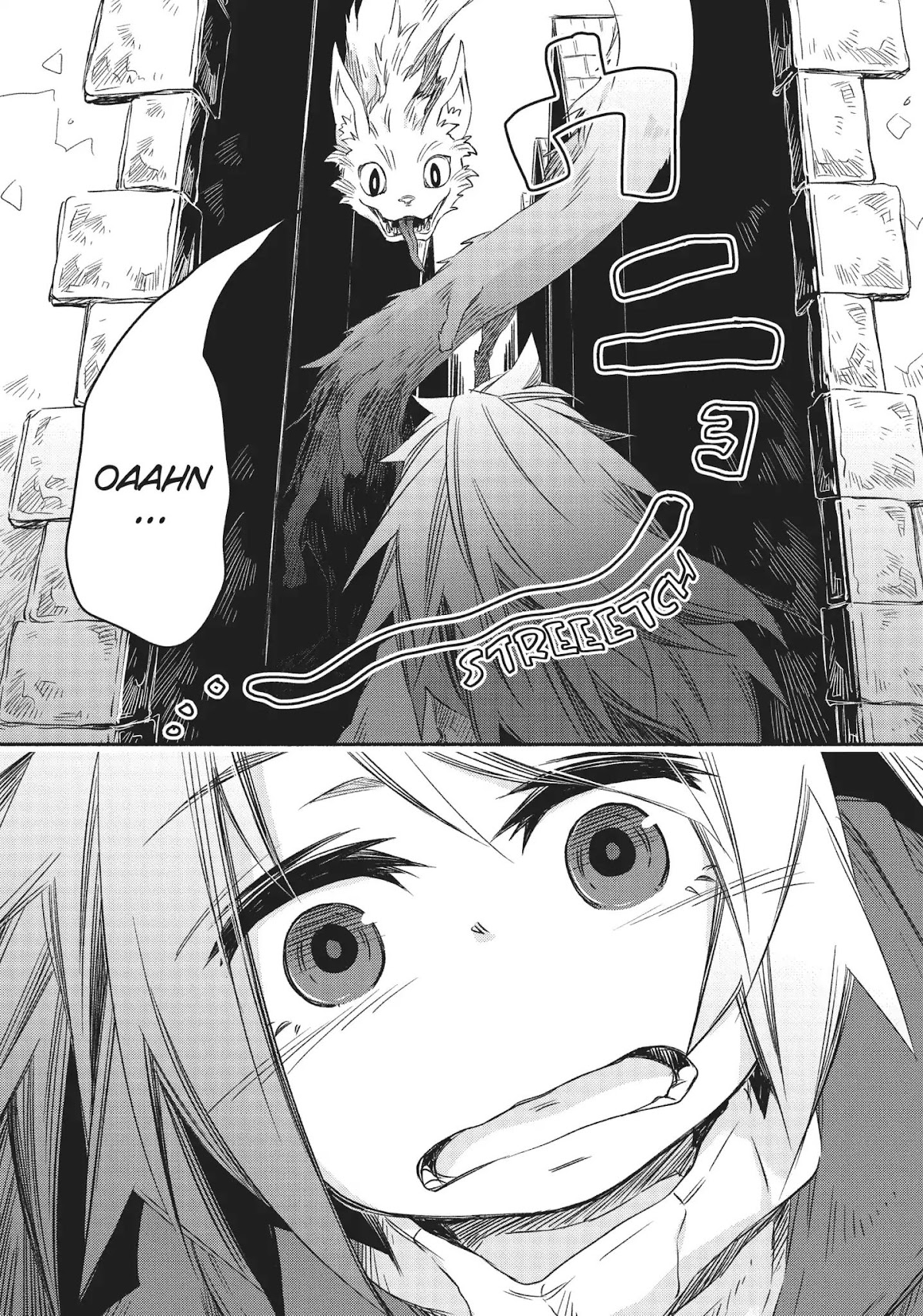 How to Treat Magical Beasts: Mine and Master's Medical Journal Chapter 23 page 3 - Chapter 23: Vol.4 Case 23: Vague Existence