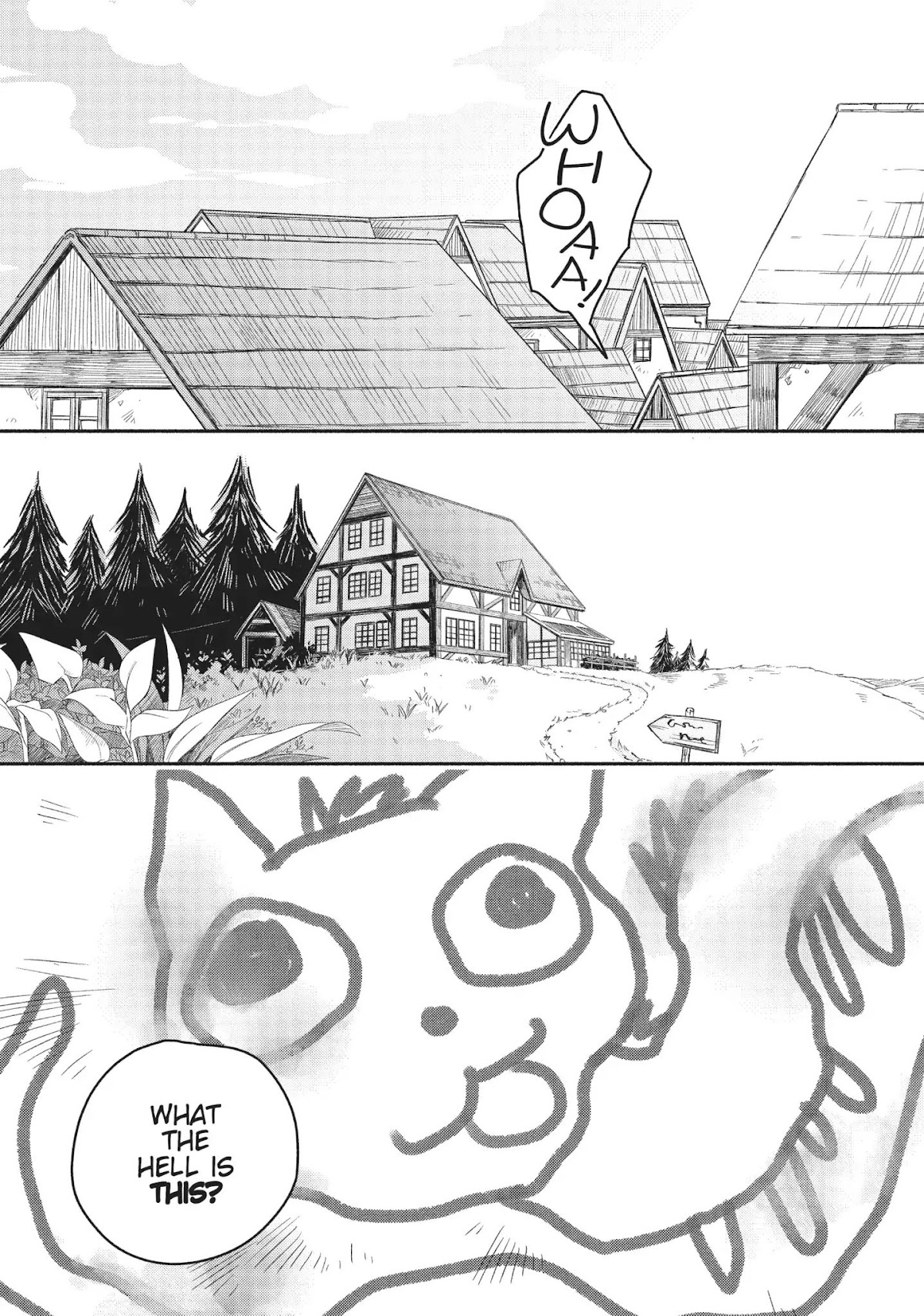 How to Treat Magical Beasts: Mine and Master's Medical Journal Chapter 23 page 4 - Chapter 23: Vol.4 Case 23: Vague Existence