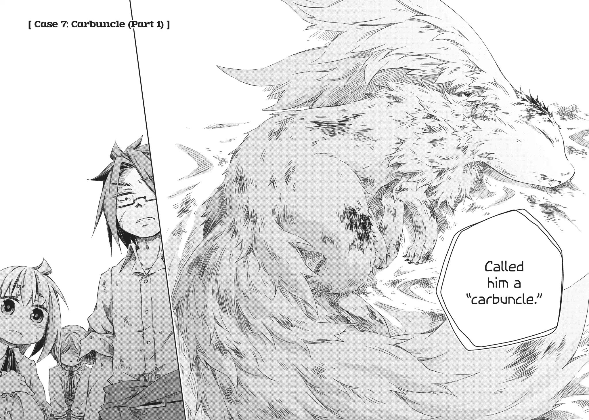 How to Treat Magical Beasts: Mine and Master's Medical Journal Chapter 7 page 4 - Chapter 7: Vol.2 Case 7: Carbuncle (Part 1)