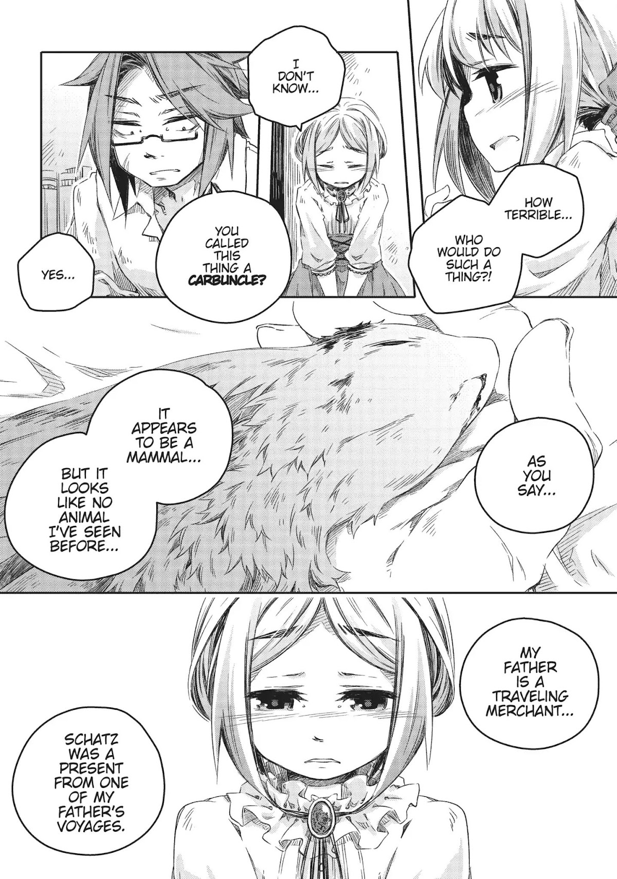 How to Treat Magical Beasts: Mine and Master's Medical Journal Chapter 7 page 5 - Chapter 7: Vol.2 Case 7: Carbuncle (Part 1)