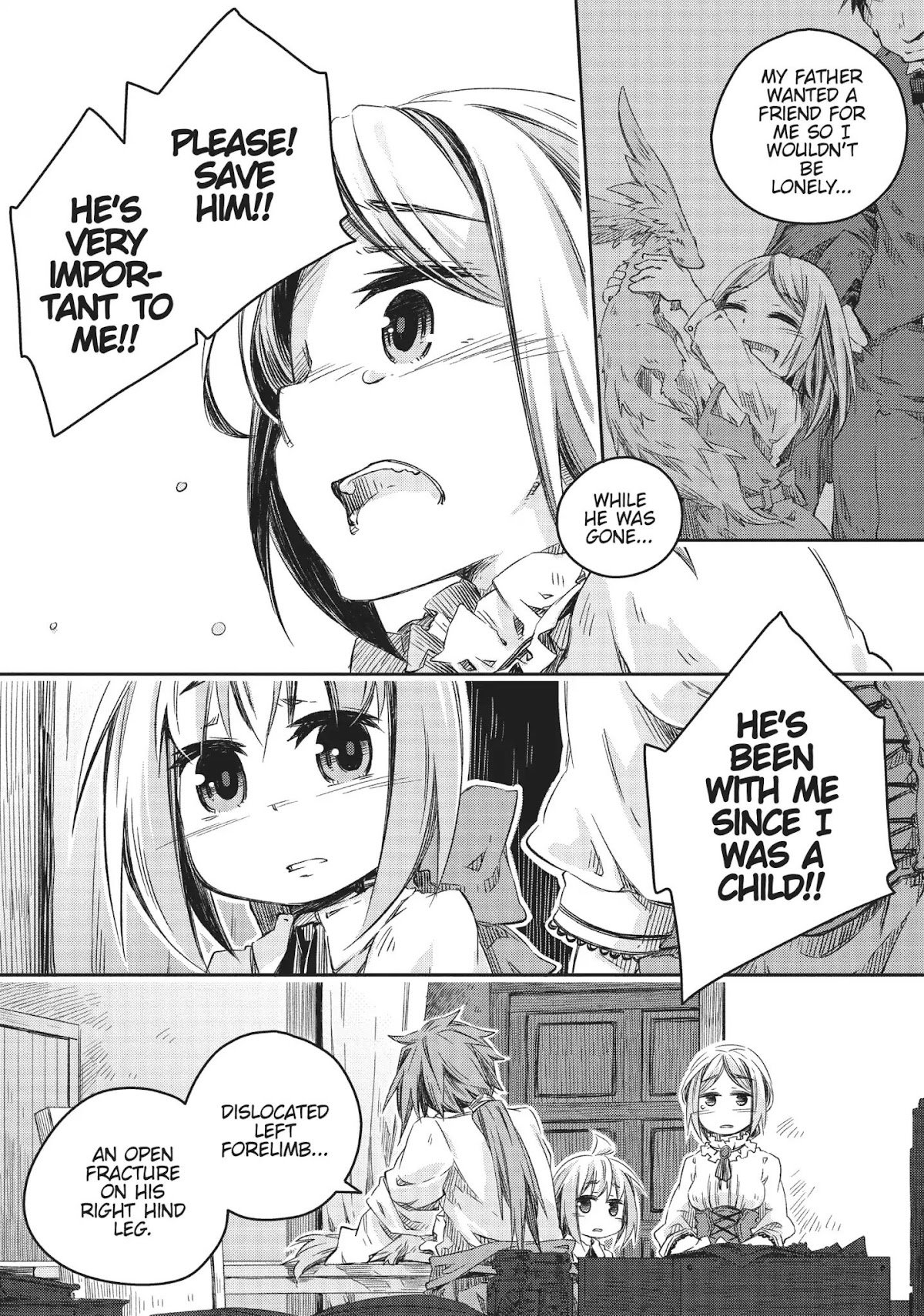 How to Treat Magical Beasts: Mine and Master's Medical Journal Chapter 7 page 6 - Chapter 7: Vol.2 Case 7: Carbuncle (Part 1)