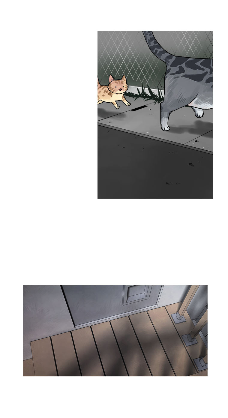 Howling - Akmongui Dosigeul Chapter 11 page 17 - Chapter 11 : Chapter 11