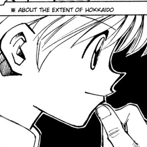 Hunter X Hunter Chapter 134: The Island's Secret cover
