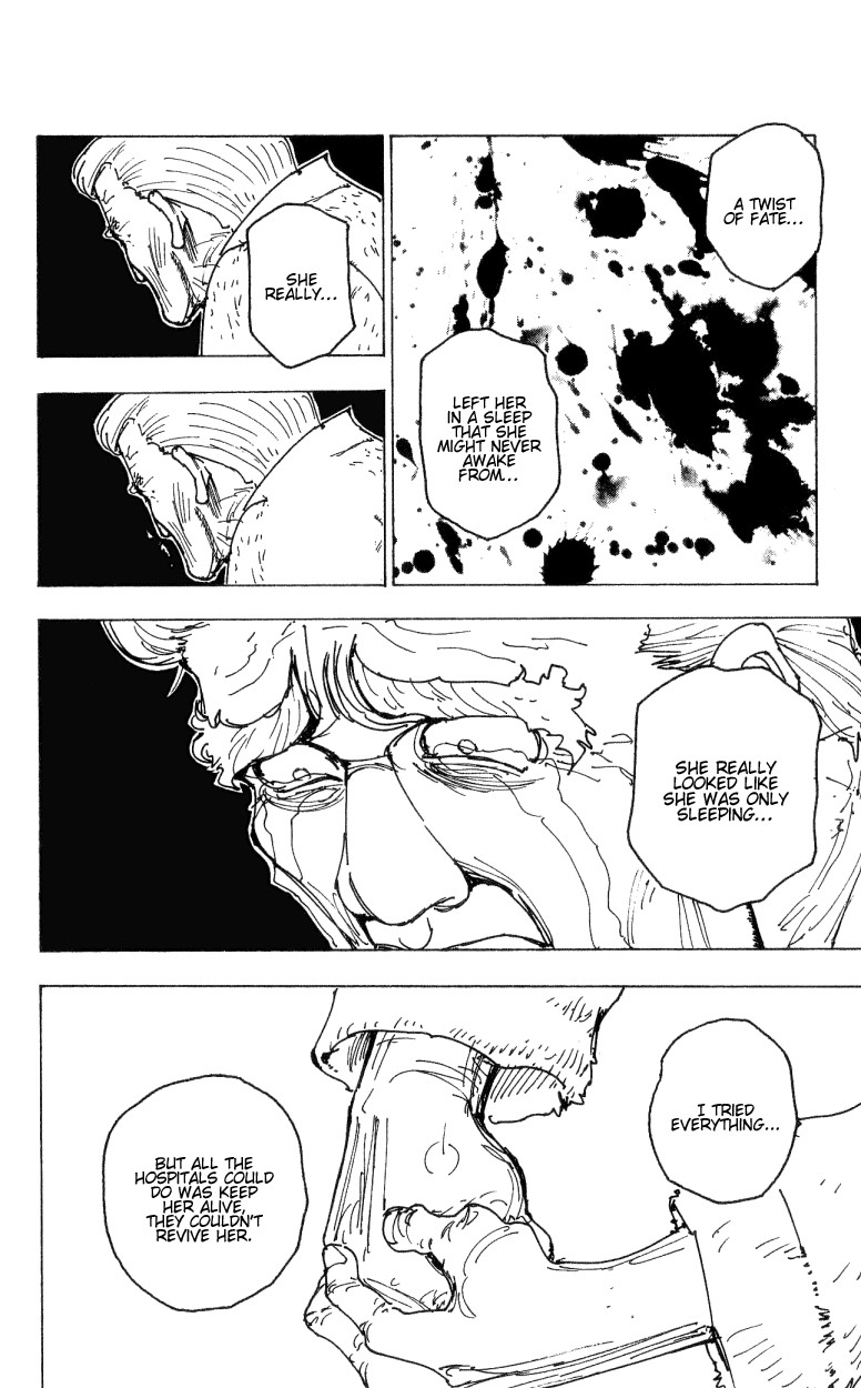Hunter X Hunter Chapter 174 page 14 - Chapter 174: Three-Way Struggle: Part 5