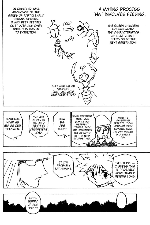 Hunter X Hunter Chapter 187 page 12 - Chapter 187: The Best Fodder
