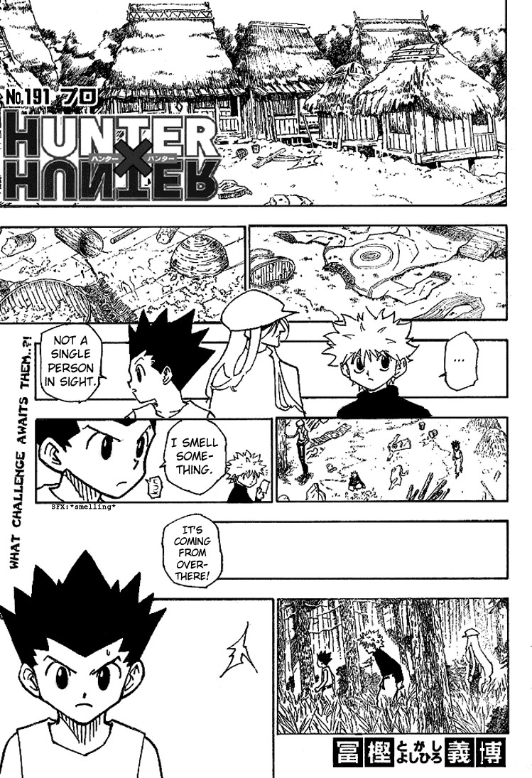 Hunter X Hunter Chapter 191 page 2 - Chapter 191: Pros