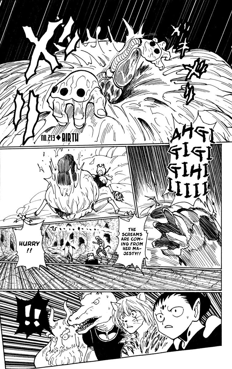 Hunter X Hunter Chapter 213 page 1 - Chapter 213: Birth