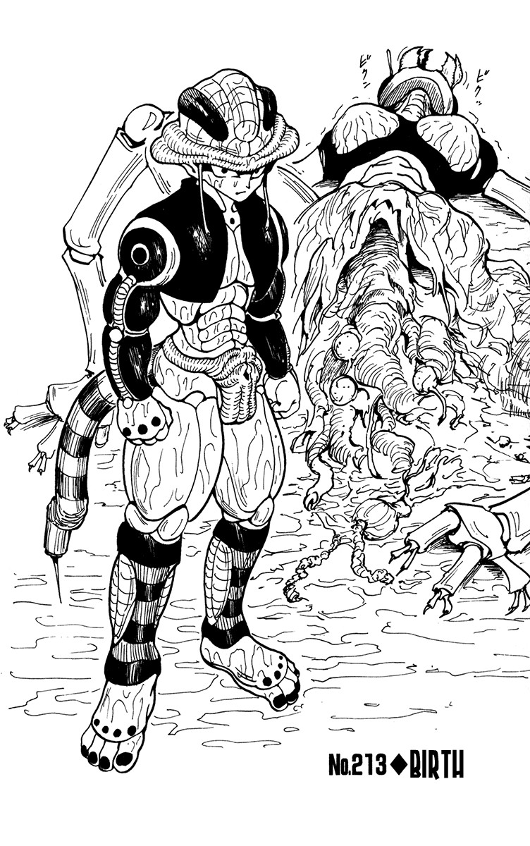 Hunter X Hunter Chapter 213 page 2 - Chapter 213: Birth