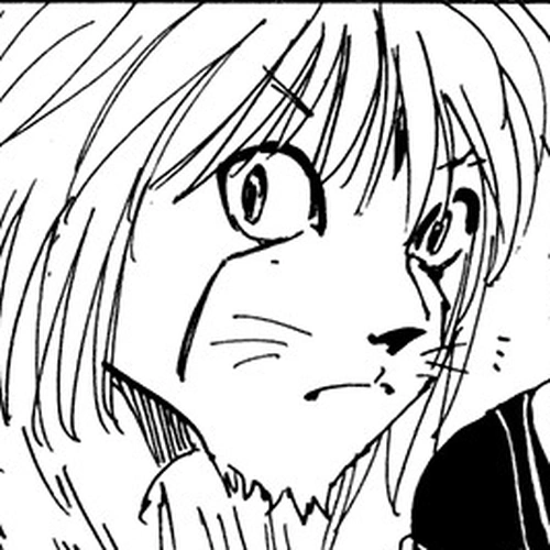 Hunter X Hunter Chapter 214: Results cover