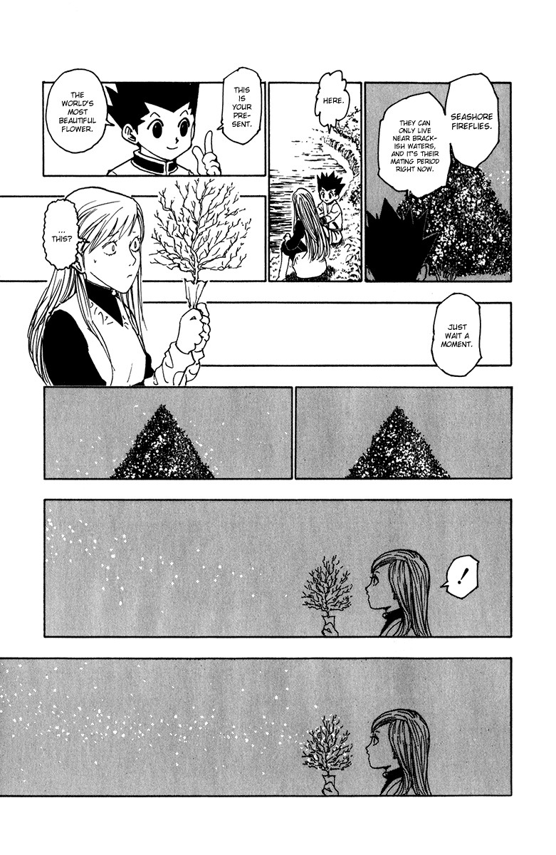 Hunter X Hunter Chapter 218 page 13 - Chapter 218: Confession