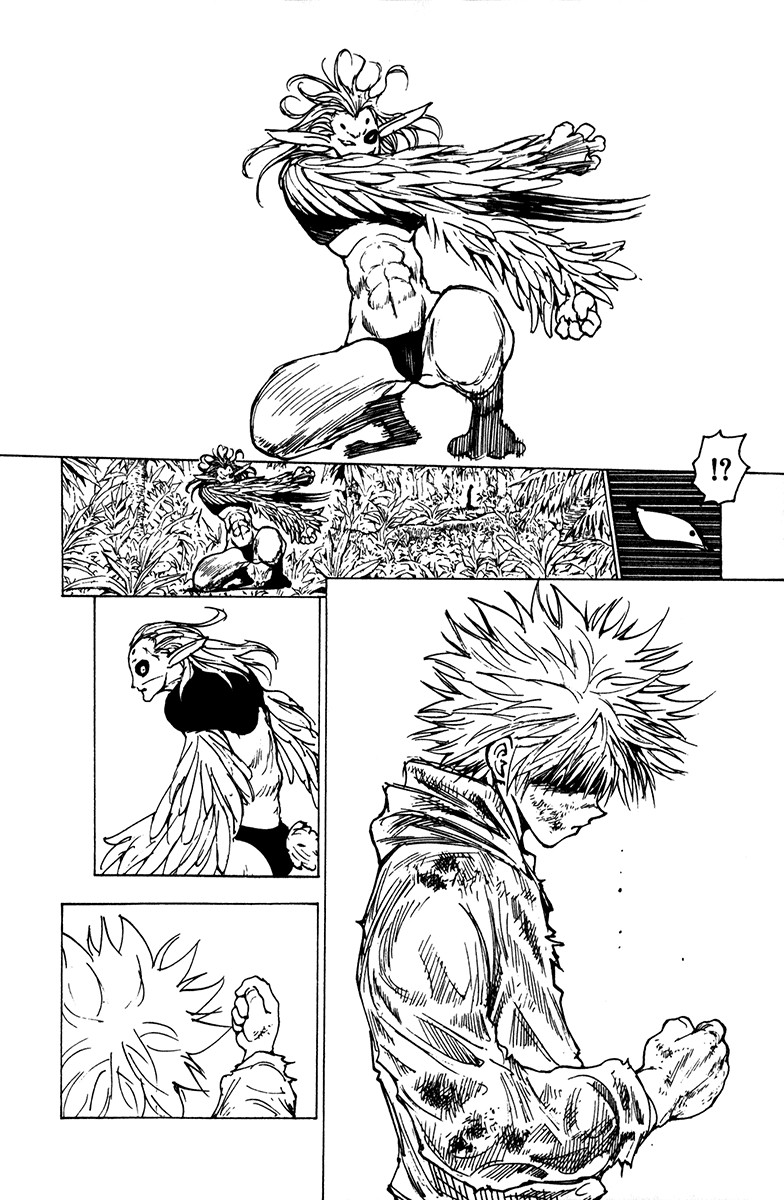 Hunter X Hunter Chapter 219 page 10 - Chapter 219: Awakening