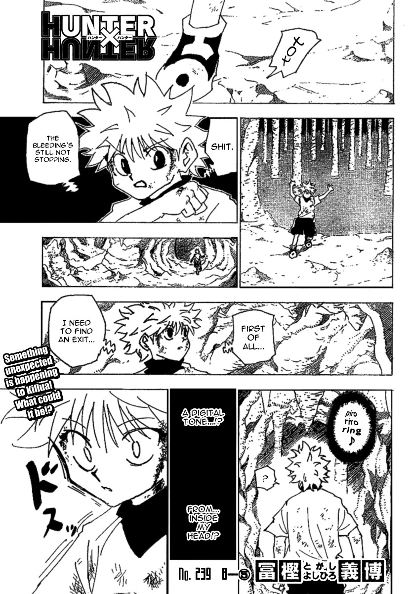 Hunter X Hunter Chapter 239 page 1 - Chapter 239: 8: Part 5