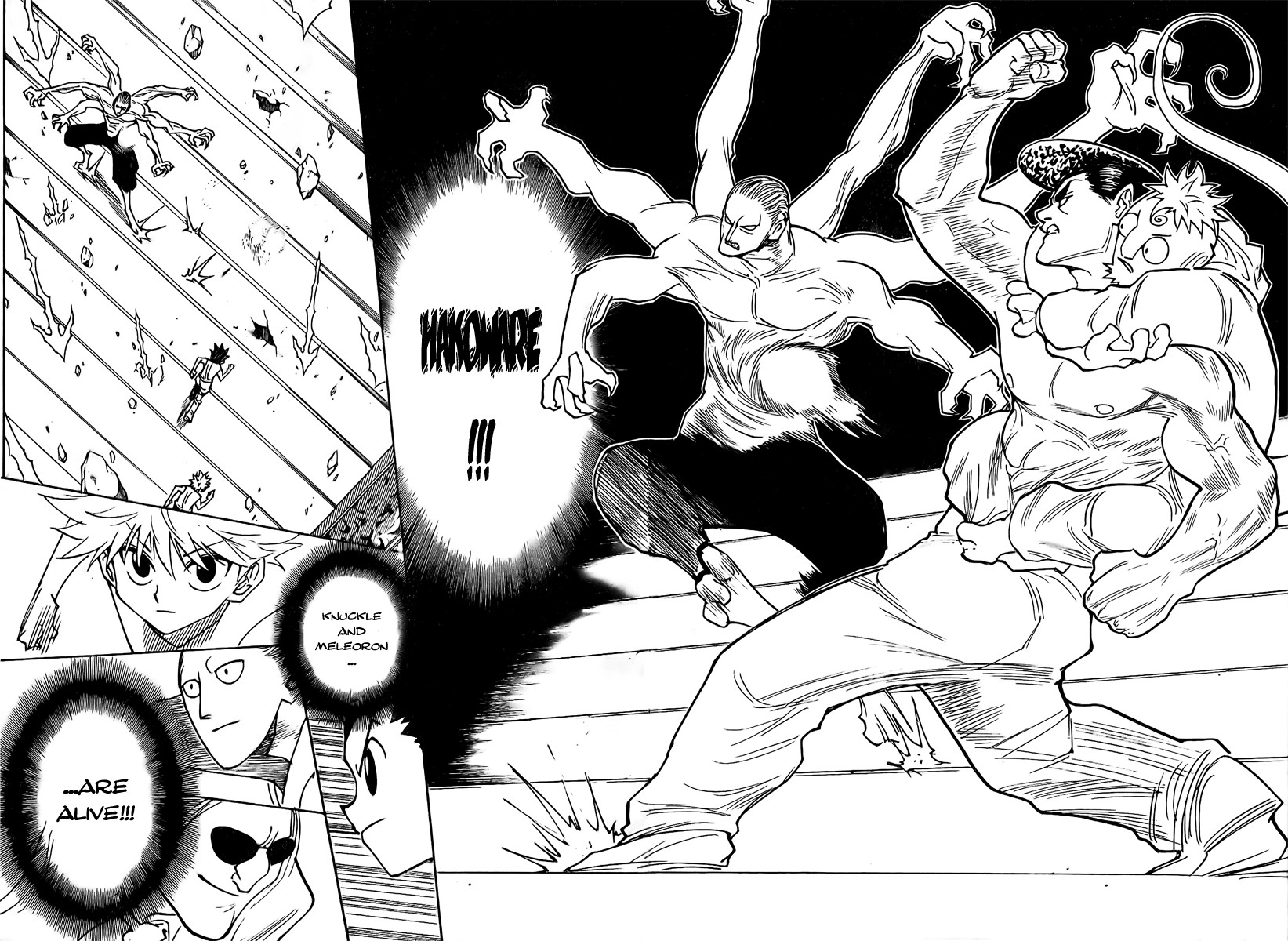 Hunter X Hunter Chapter 266 page 15 - Chapter 266: In the Unlikely Event Of...