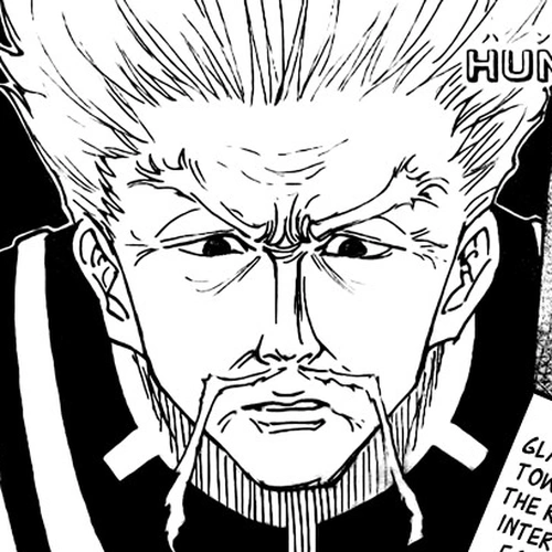 Hunter X Hunter Chapter 268: The King cover