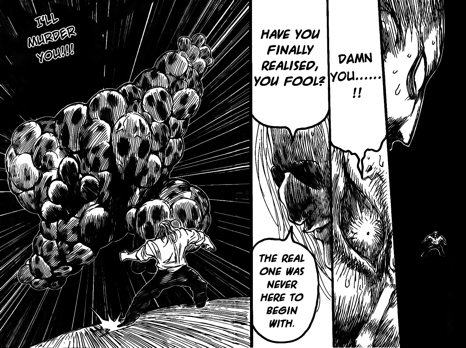 Hunter X Hunter Chapter 285 page 13 - Chapter 285: Doubles