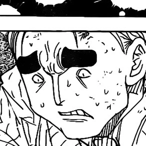 Hunter X Hunter Chapter 285: Doubles cover