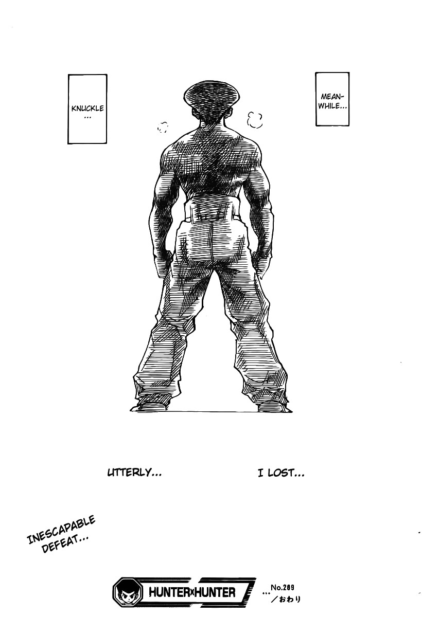 Hunter X Hunter Chapter 289 page 18 - Chapter 289: Terms