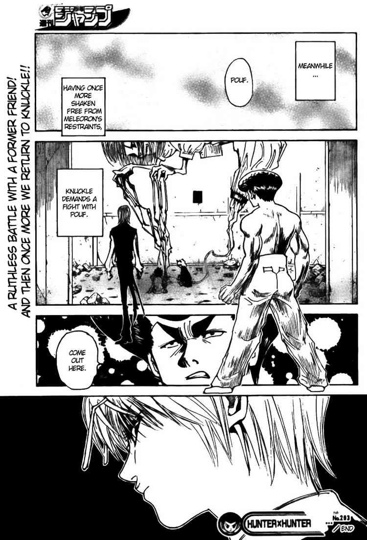 Hunter X Hunter Chapter 293 page 19 - Chapter 293: Metamorphosis
