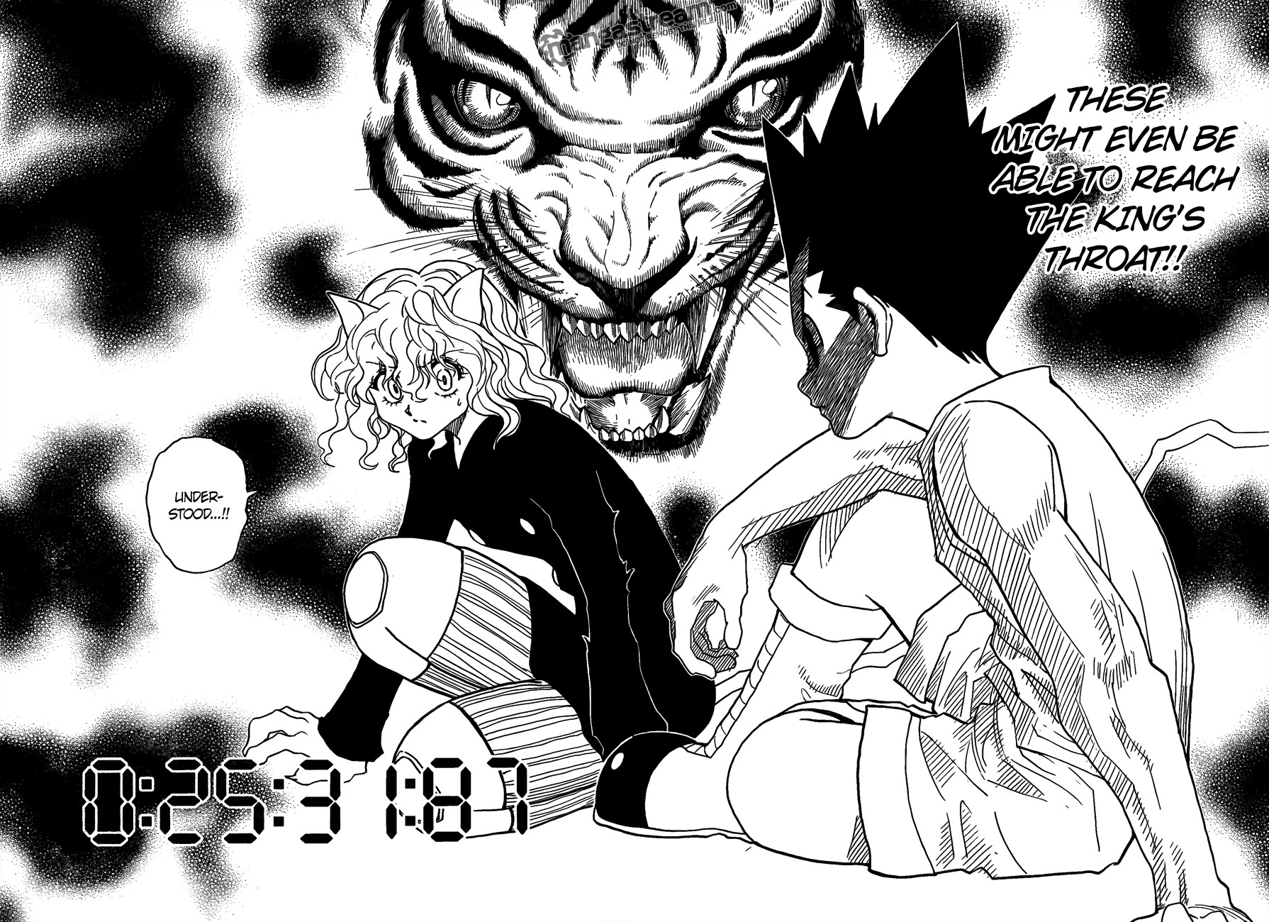 Hunter X Hunter Chapter 295 page 14 - Chapter 295: Determination