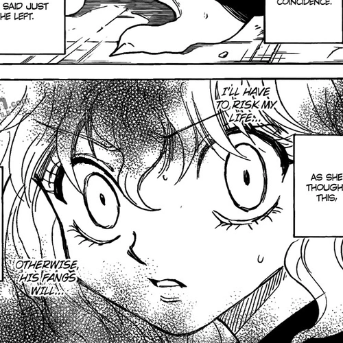 Hunter X Hunter Chapter 295: Determination cover