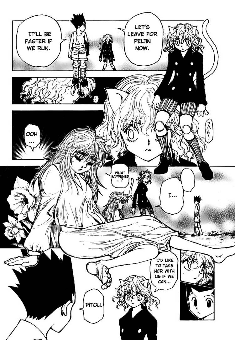 Hunter X Hunter Chapter 300 page 11 - Chapter 300: Insurance