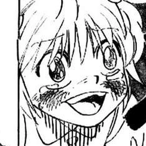 Hunter X Hunter Chapter 301: Memory cover