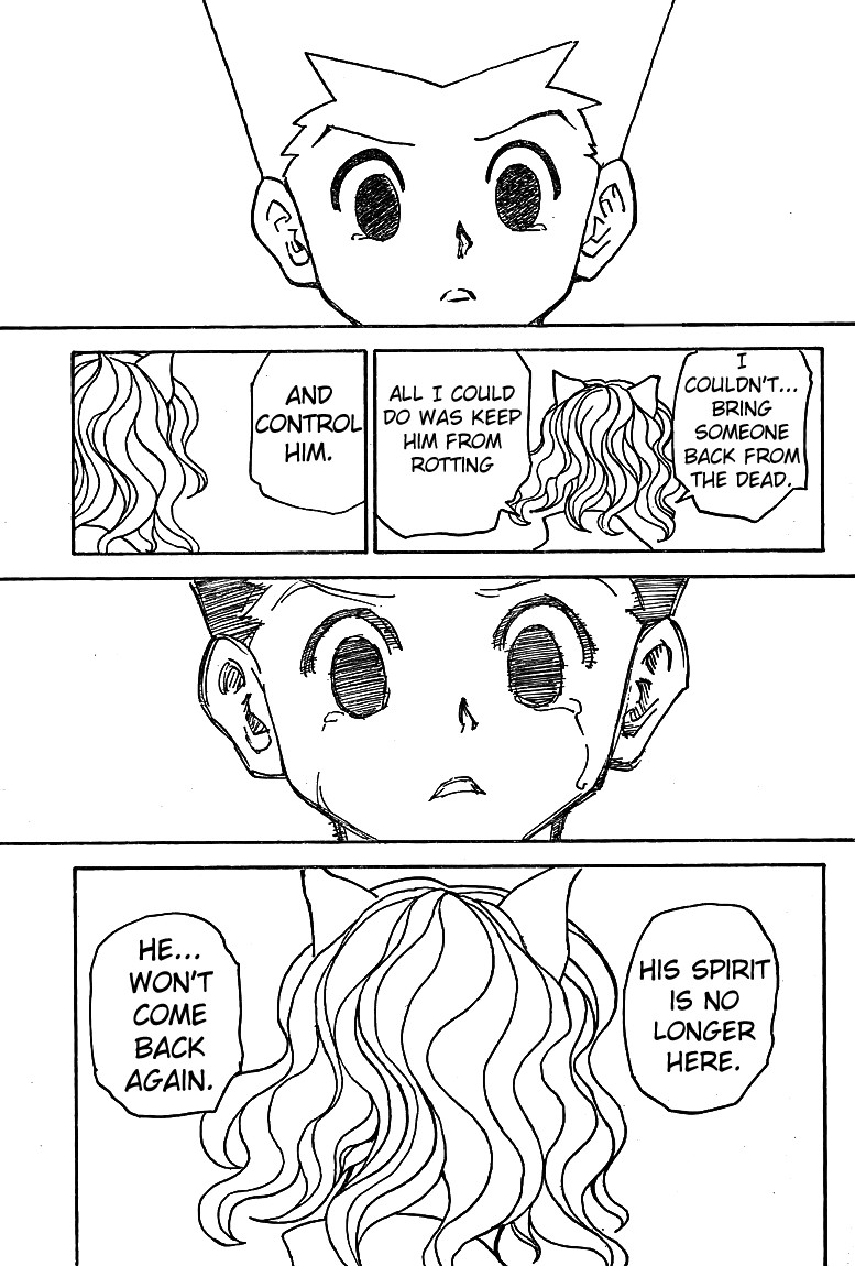 Hunter X Hunter Chapter 304 page 15 - Chapter 304: Magic