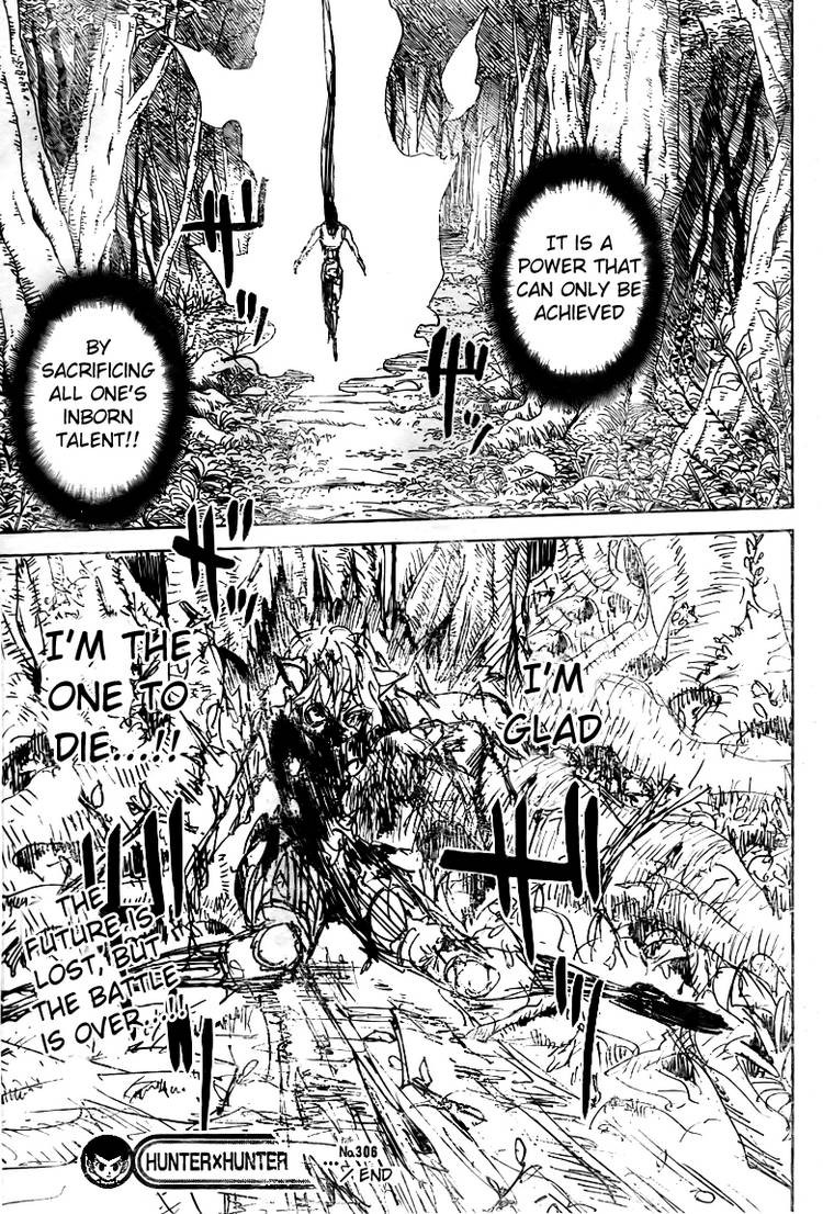 Hunter X Hunter Chapter 306 page 15 - Chapter 306: Relief