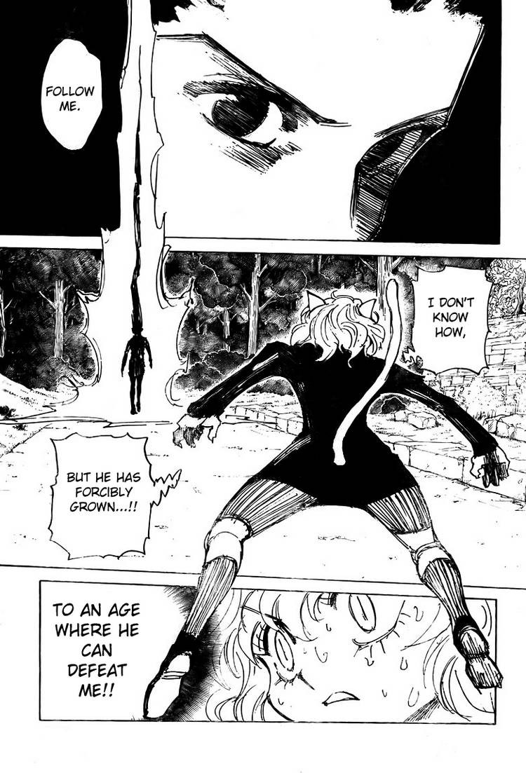 Hunter X Hunter Chapter 306 page 6 - Chapter 306: Relief