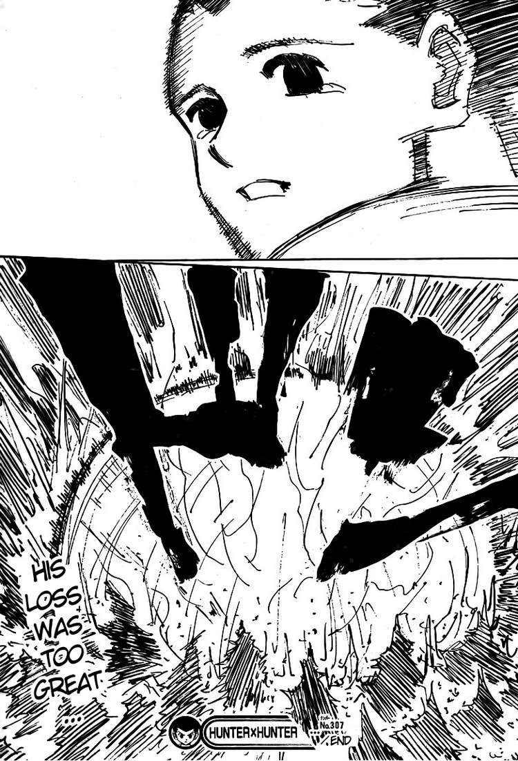Hunter X Hunter Chapter 307 page 18 - Chapter 307: Loss