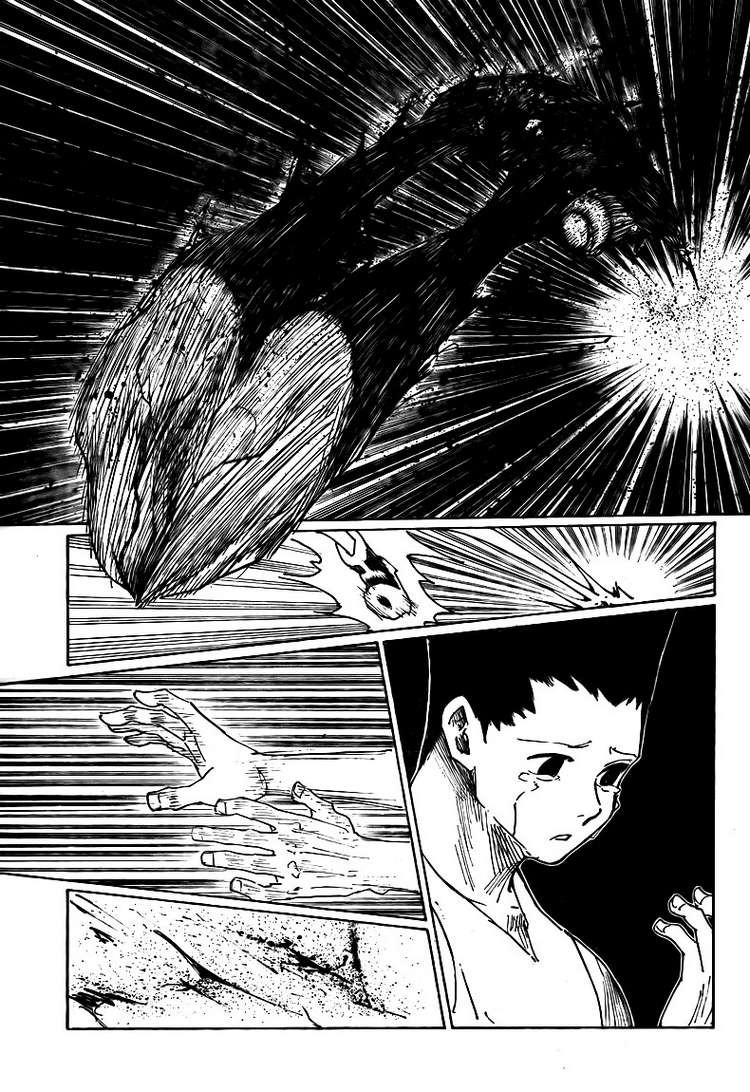 Hunter X Hunter Chapter 307 page 8 - Chapter 307: Loss