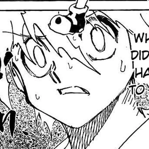 Hunter X Hunter Chapter 307: Loss cover