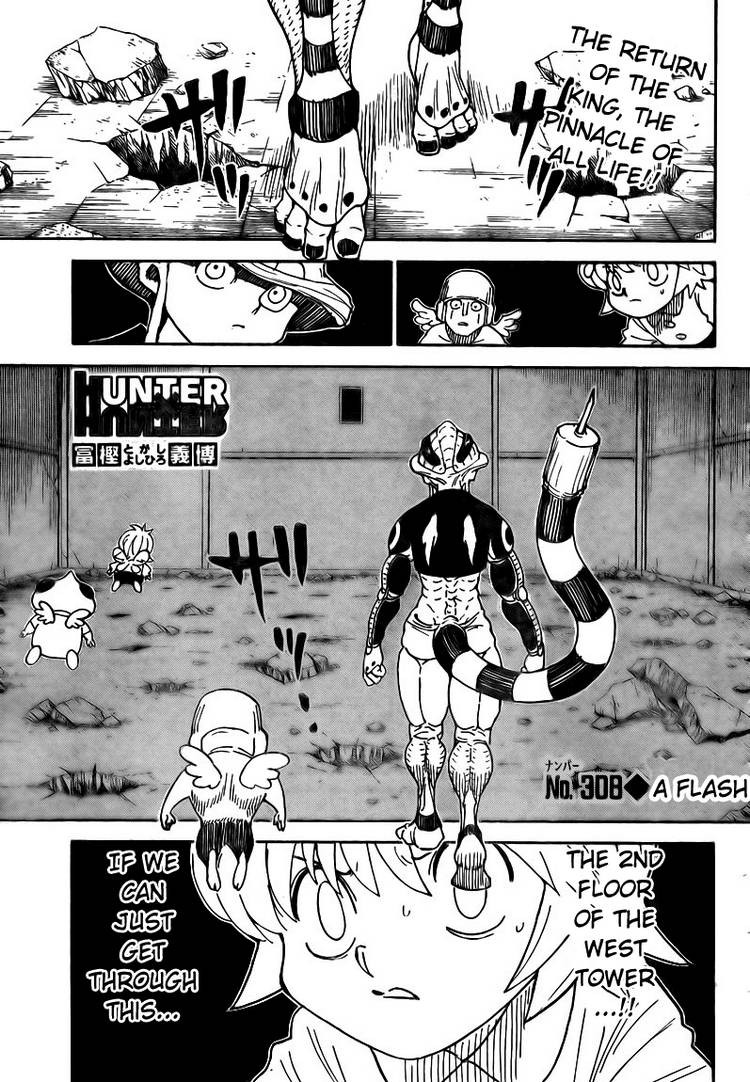 Hunter X Hunter Chapter 308 page 1 - Chapter 308: Flash