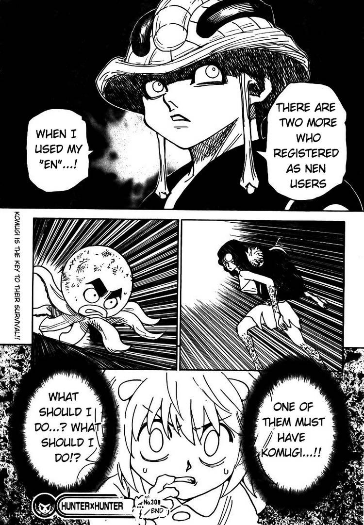 Hunter X Hunter Chapter 308 page 17 - Chapter 308: Flash