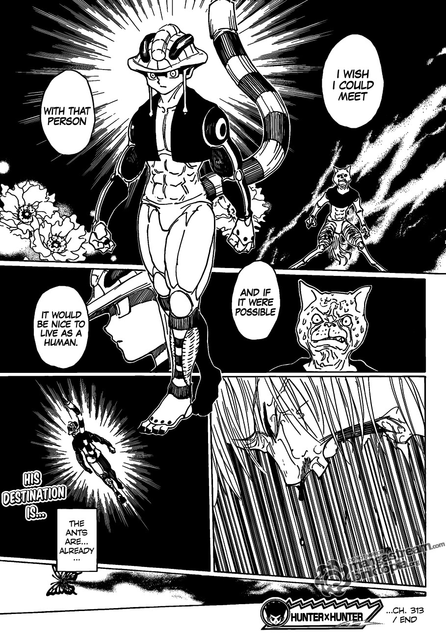 Hunter X Hunter Chapter 313 page 14 - Chapter 313: One Word