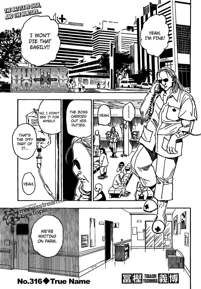 Hunter X Hunter Chapter 316 page 1 - Chapter 316: Real Name