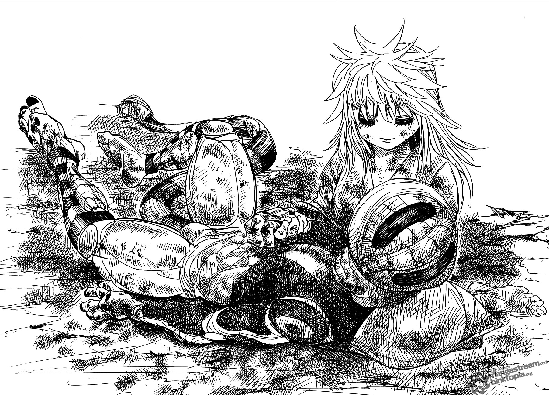 Hunter X Hunter Chapter 318 page 10 - Chapter 318: Final Will