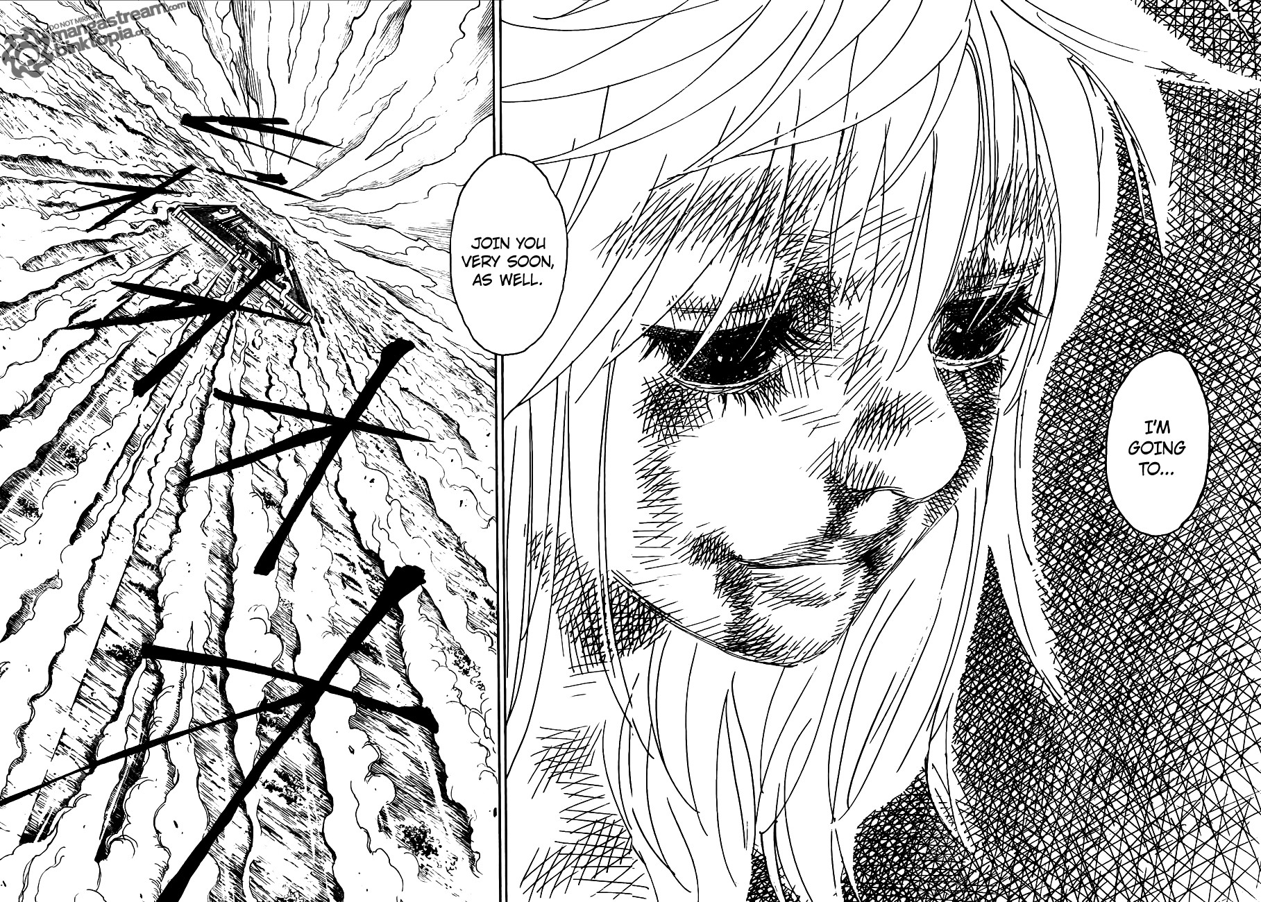 Hunter X Hunter Chapter 318 page 11 - Chapter 318: Final Will