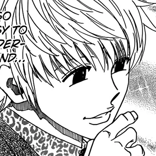 Hunter X Hunter Chapter 329: Spy cover