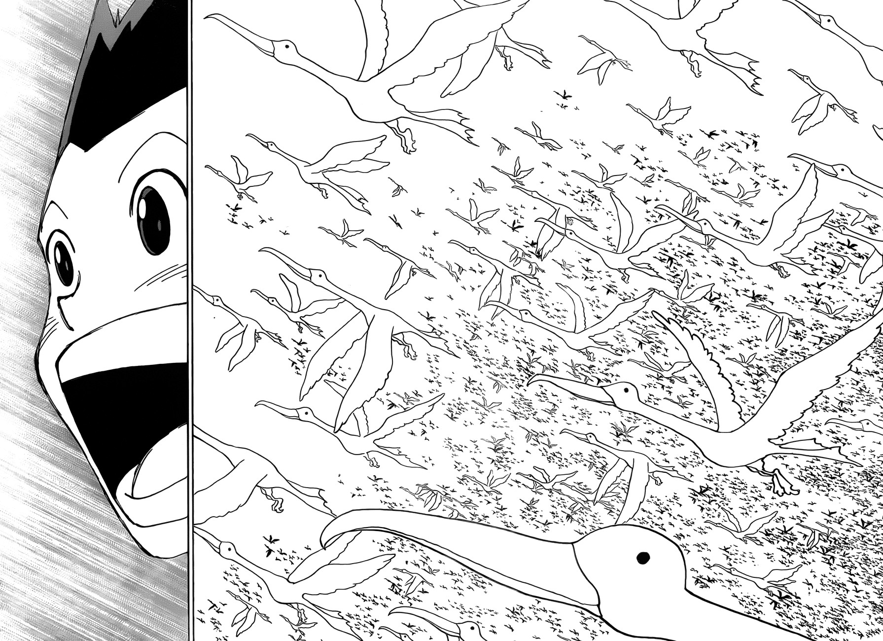 Hunter X Hunter Chapter 339 page 9 - Chapter 339: Stillness