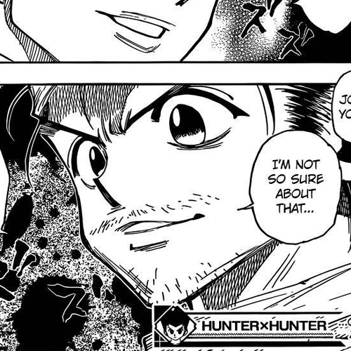 Hunter X Hunter Chapter 342: Challenge cover