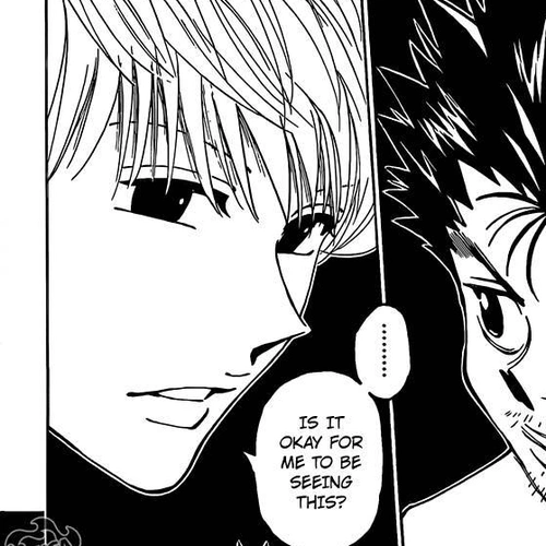 Hunter X Hunter Chapter 347: Inauguration cover
