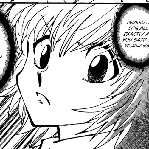 Hunter X Hunter Chapter 361: Withdraw cover