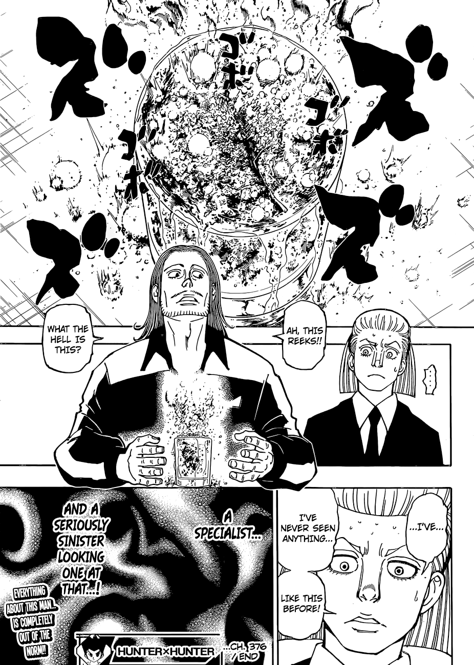Hunter X Hunter Chapter 376 page 19 - Chapter 376: Determination