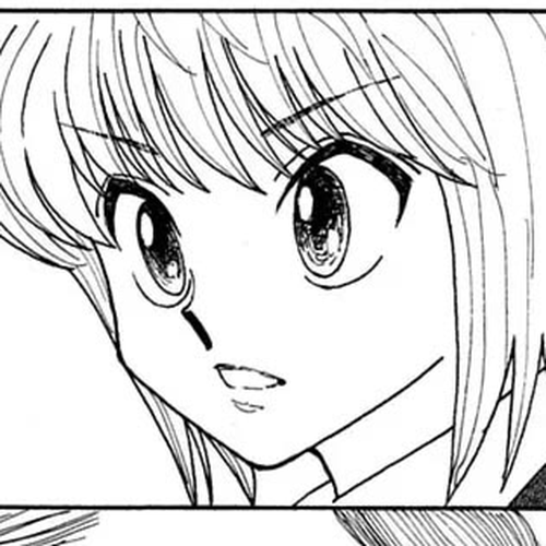 Hunter X Hunter Chapter 414: Friends cover
