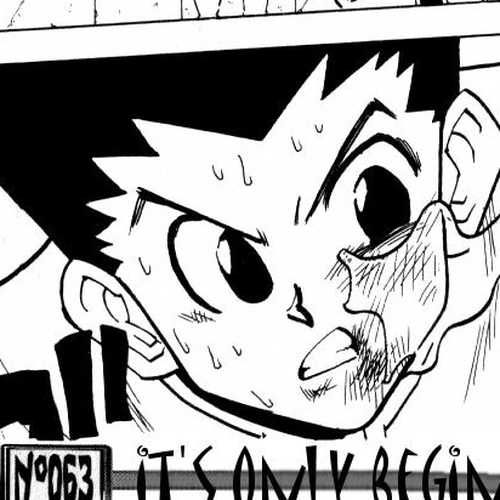 Hunter X Hunter Chapter 63: Next cover