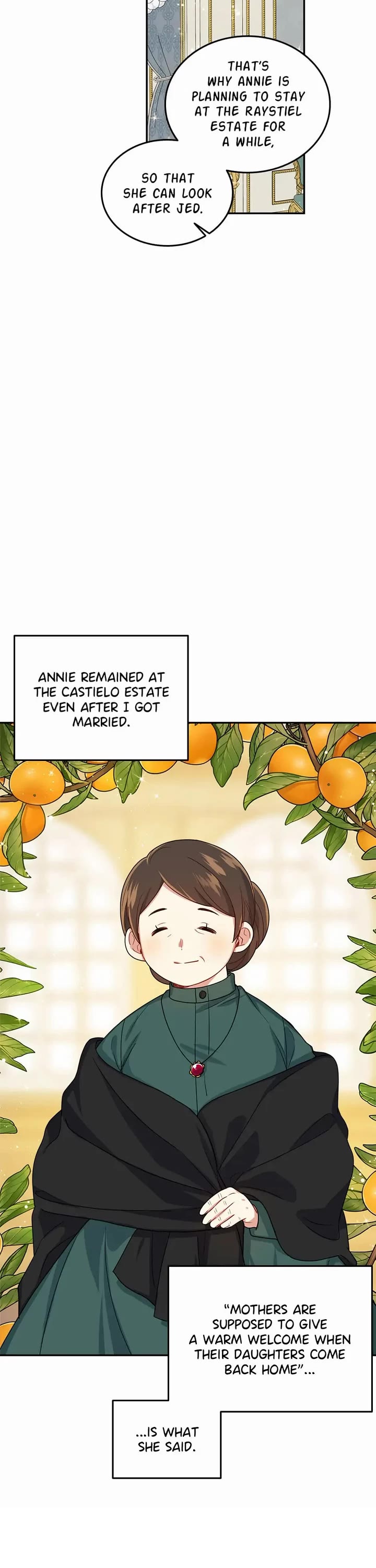 I Am a Child of This House Chapter 155 page 27 - Chapter 155: Side Story 5 [END]