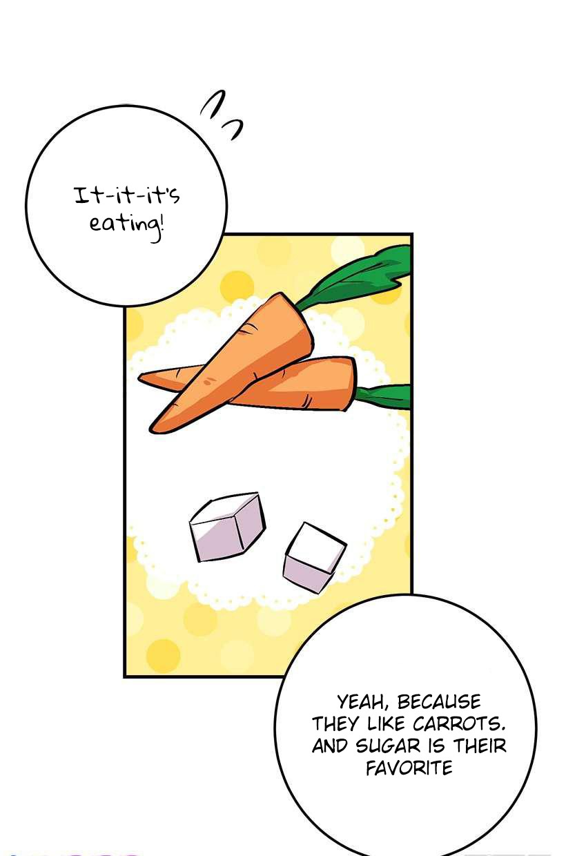 I Am a Child of This House Chapter 60 page 19 - Chapter 60